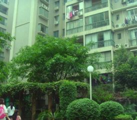 梧桐世家一期1室1厅南北