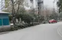 上道西城实景图