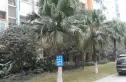 上道西城实景图