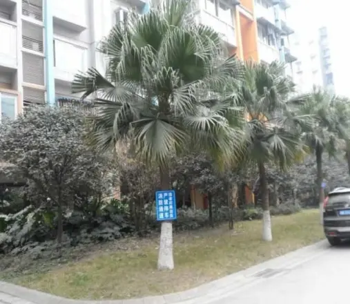 上道西城实景图