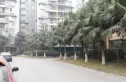 上道西城实景图
