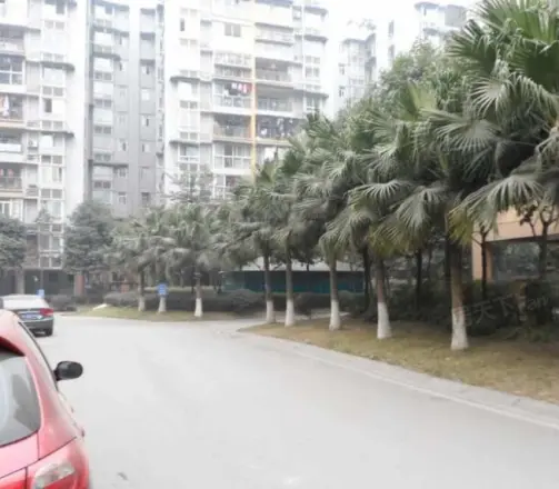 上道西城实景图
