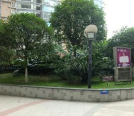 世代锦江凯旋门 3室1厅 南