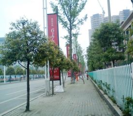 四季豪廷2室1厅东南