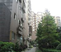 千和馨城1室1厅东南