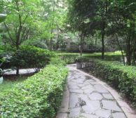 千和馨城1室1厅东南