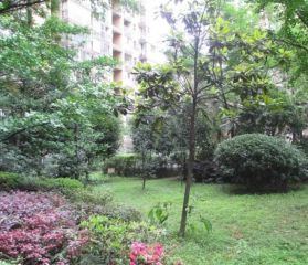 千和馨城 3室2厅 东南