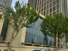 天津雅颂居 3室2厅 西南