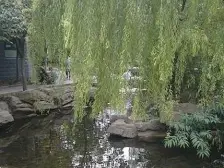 双地 铁六号线 三号线未来路商城路正规一室一厅出售