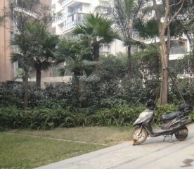 双楠忆景2室1厅东北
