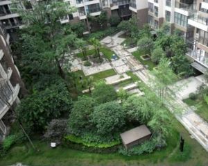 双楠忆景3室1厅东南