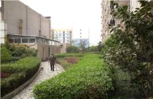 新城市广场 1室0厅 东南