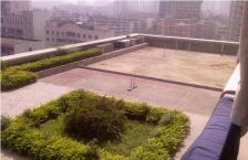 新城市广场 1室1厅 南