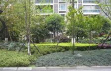 双楠名城二期3室1厅东