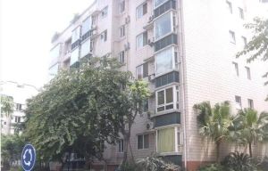 双楠名城一期 3室2厅 西南