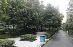 双楠名城一期3室2厅东南