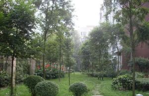 大成天府景秀一三期3室2厅南
