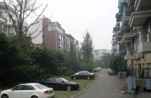 大成天府景秀一三期3室2厅南