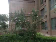 门口楼栋 中间楼层 可按揭过户 精装修