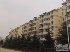 东风路丰庆路 一楼带院 两室 一手业主