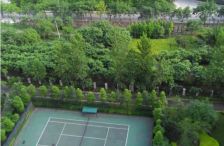 翡翠海湾 3室2厅 东南