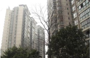 翡翠海湾3室2厅西北