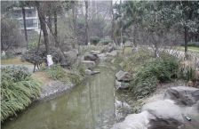 翡翠海湾 2室2厅 东南