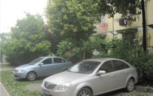 槐树苑A区3室1厅南北