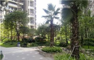 凯丽豪景2室1厅东南