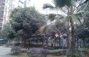 金牛花园4室2厅西北