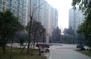 金牛花园3室2厅东南
