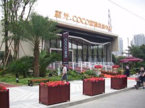 蓝光COCO蜜城4室2厅东