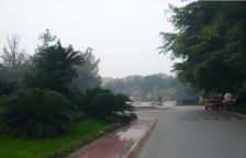 御都花园别墅 4室2厅 东南