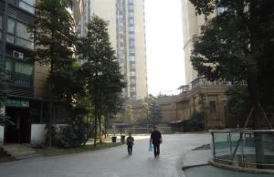 三九绿城3室2厅南