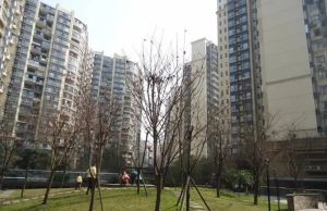 三九绿城3室1厅南