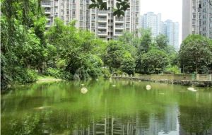 东苑B区3室2厅东南西北