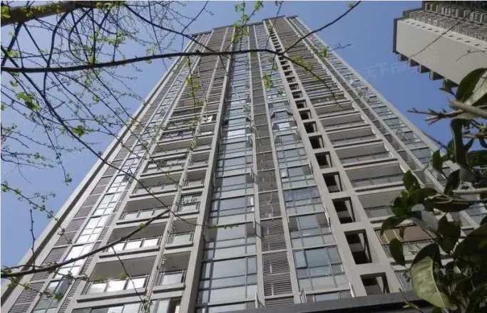 揽胜金沙实景图