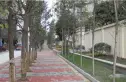揽胜金沙实景图