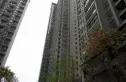 揽胜金沙实景图