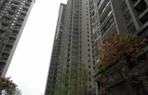 揽胜金沙 2室1厅 东南