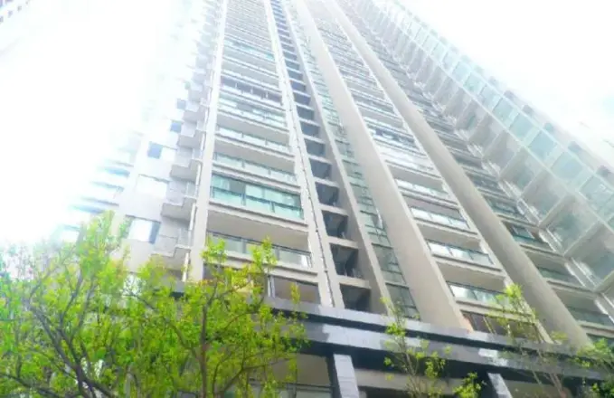 揽胜金沙实景图