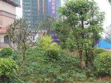 房子全新没有住过,看江景,中高层诚心出售