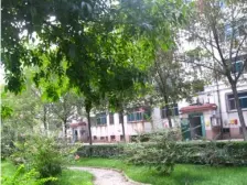 世纪家苑 不临街不临路 小高层视野无遮挡