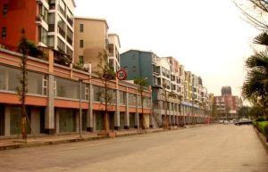 美洲花园棕榈湾3室1厅东南
