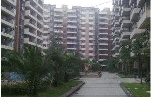 美洲花园棕榈湾2室1厅东南西北