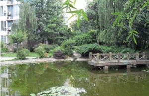 美洲花园棕榈湾2室1厅西