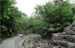 美洲花园棕榈湾1室1厅南