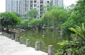东苑D区3室2厅南