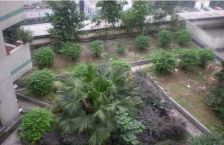 长富花园2室1厅东南南西南