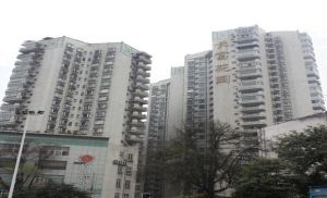 长富花园2室1厅西南